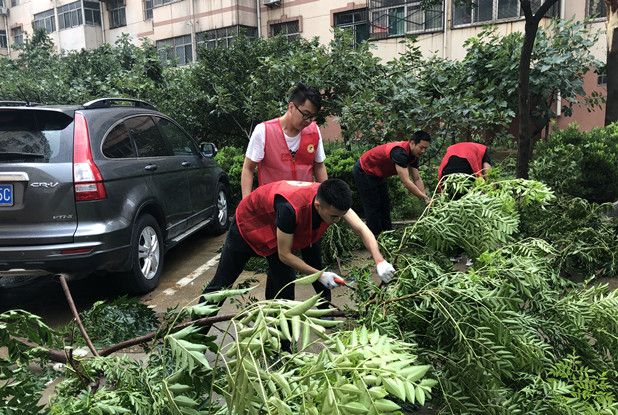 中院组织开展抗击台风志愿服务活动